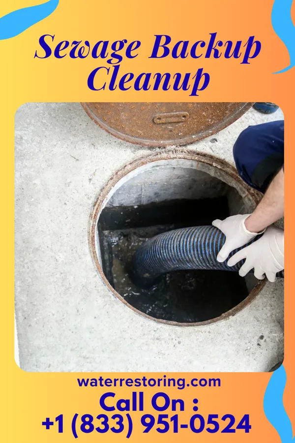Sewage Backup Cleanup in Brant Lake South, SD